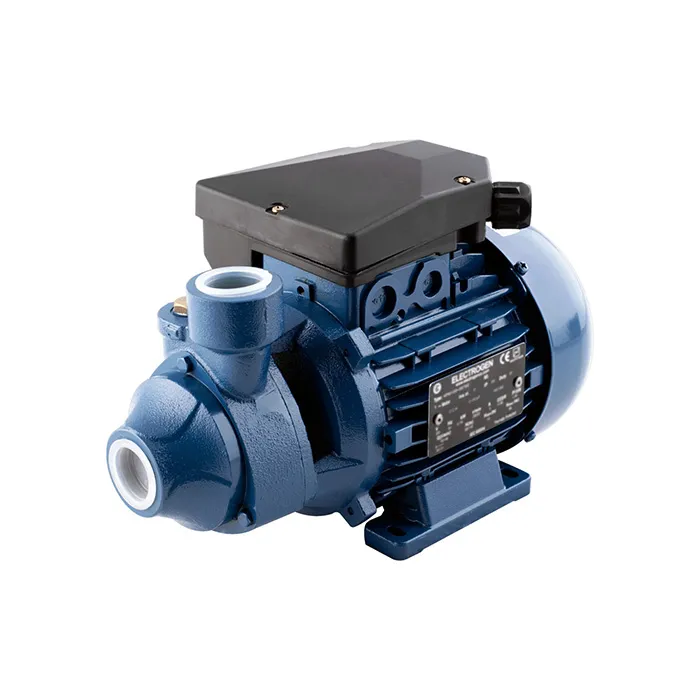 الکتروپمپ تک فاز (KPM100) 1HP